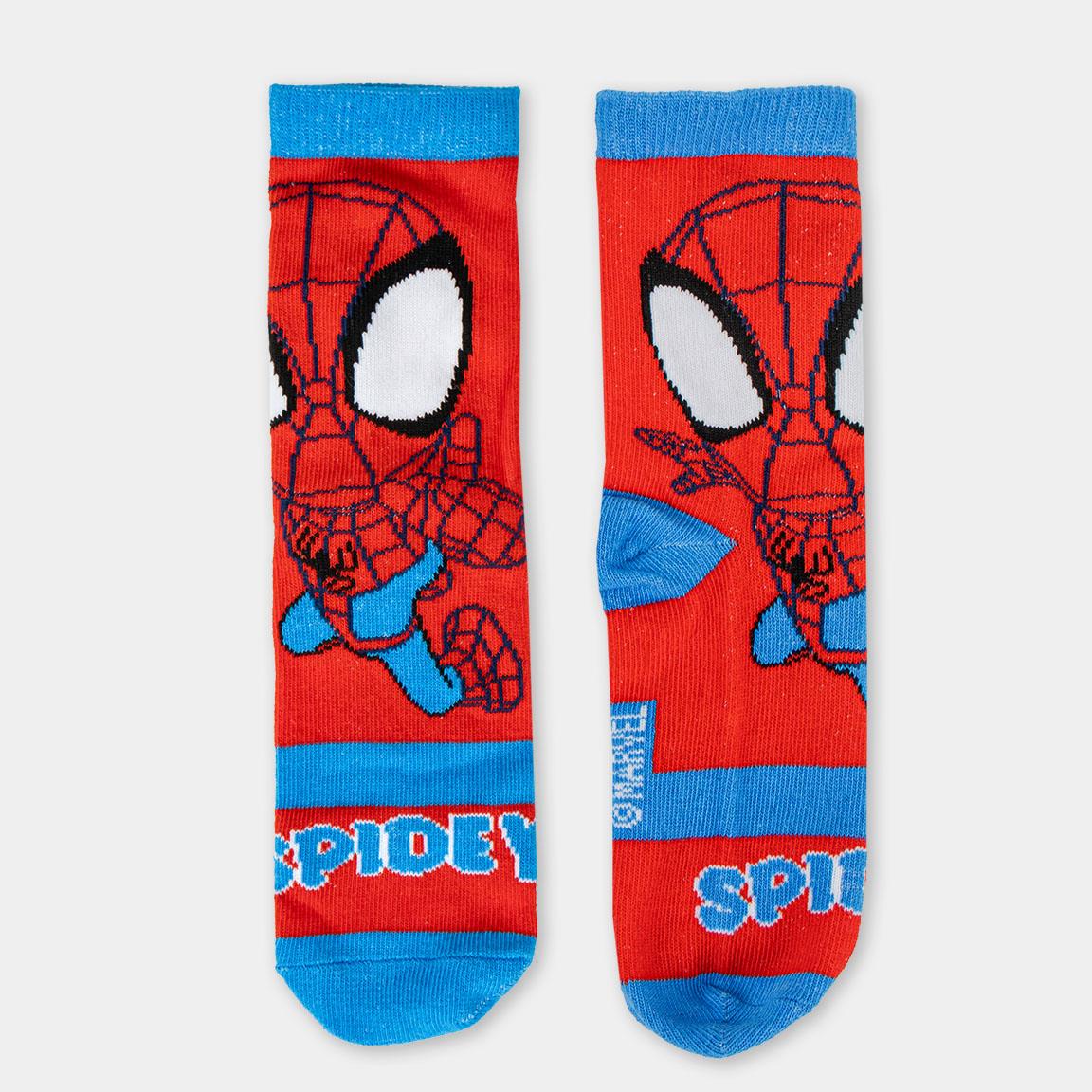 Coffret tirelire de 4 paires de chaussettes - Spidey