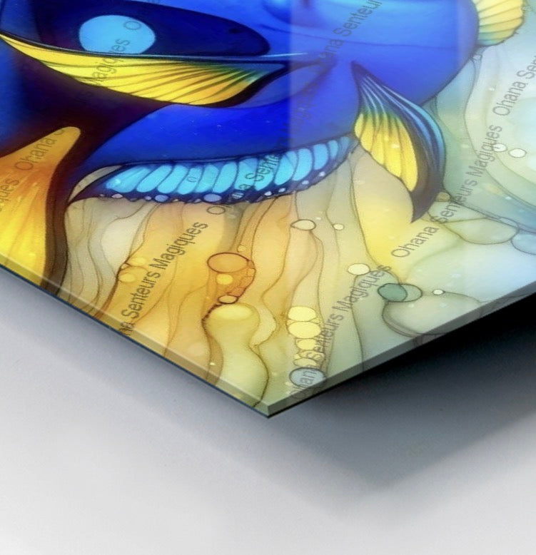 Tableau photo imprimé Dory 20x20cm