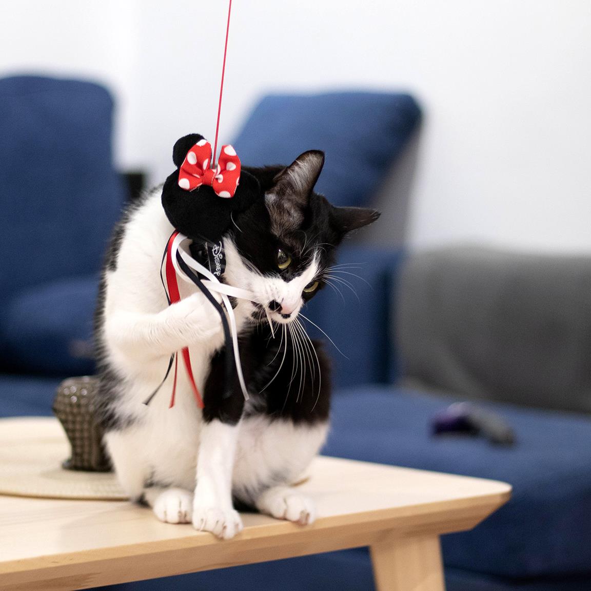 Baguette pour chat - Minnie Mouse