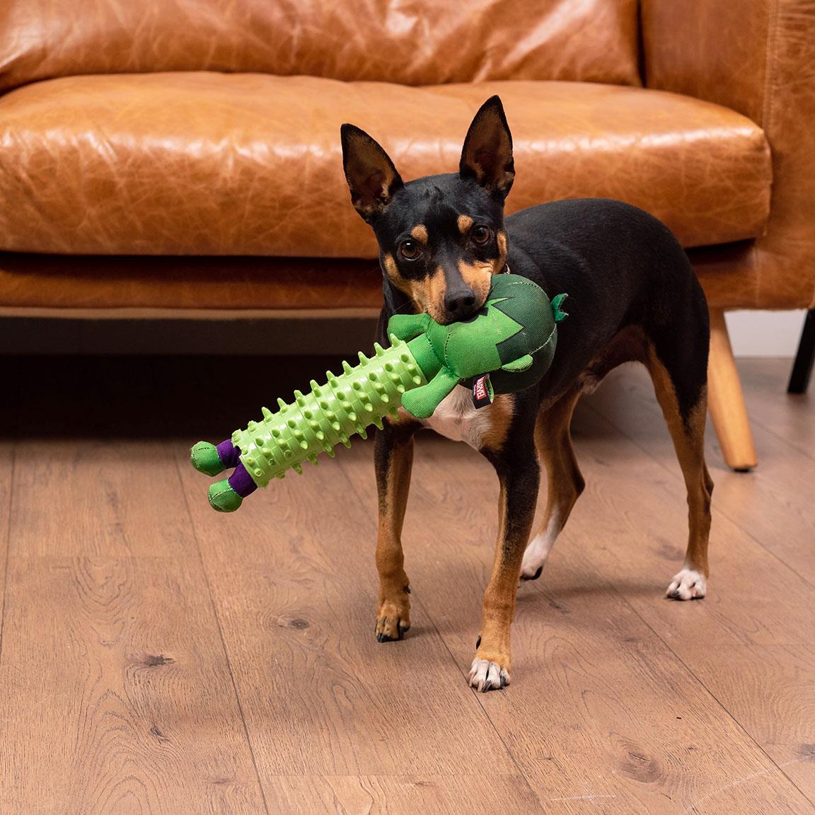Jouet à mâcher pour chien - Hulk