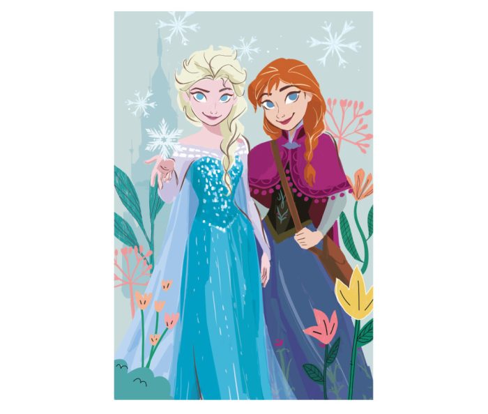 Couverture polaire - Reine des neiges