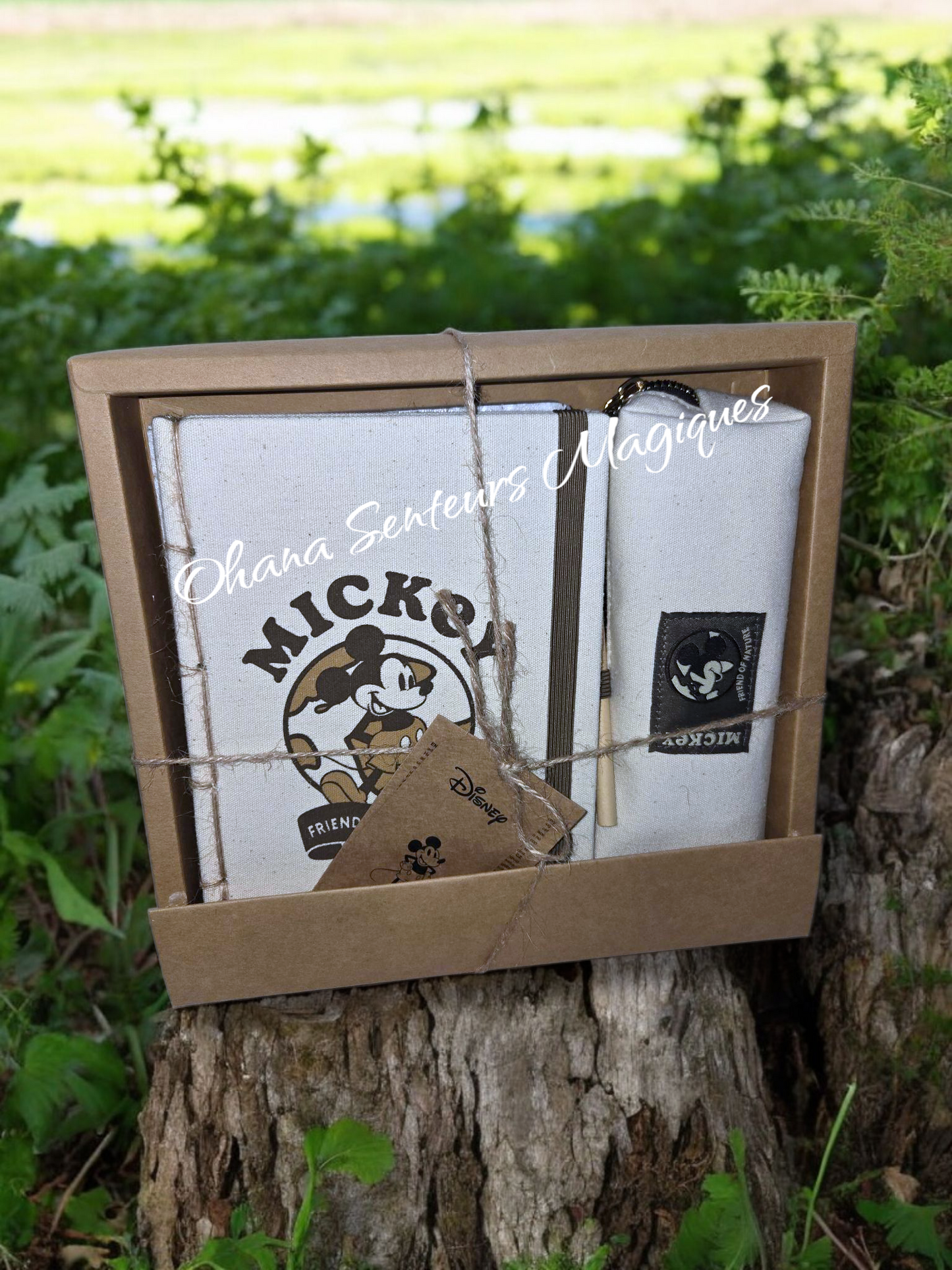 Coffret cadeau papeterie - Mickey