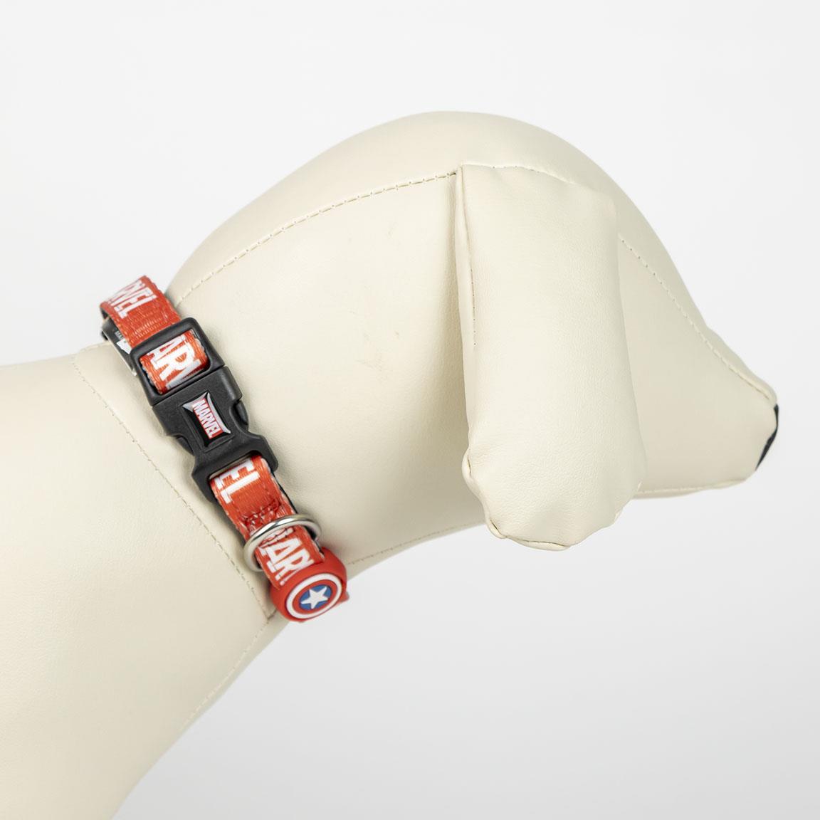 Coffret cadeau pour chien - Marvel