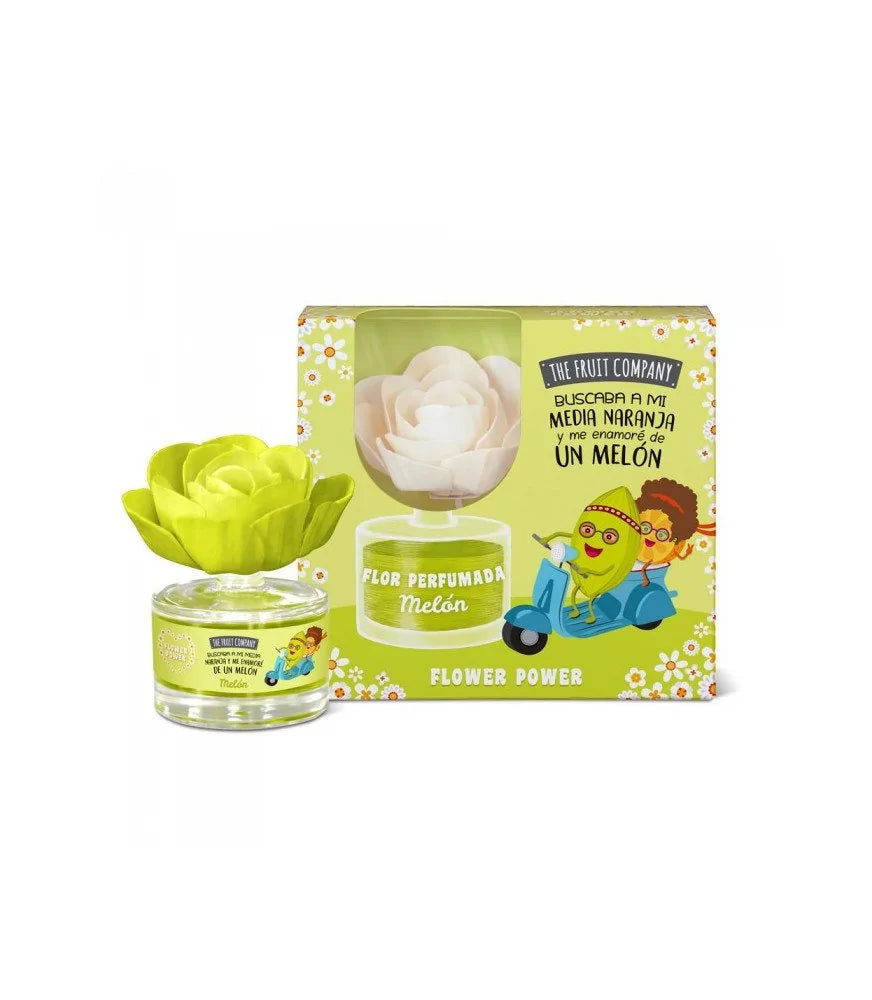 Coffret fleur mikado - Melon