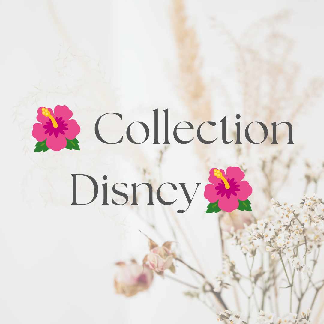 🌺Collection Disney🌺