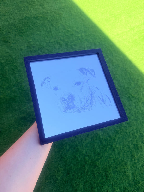 Gravure sur miroir Animal de compagnie