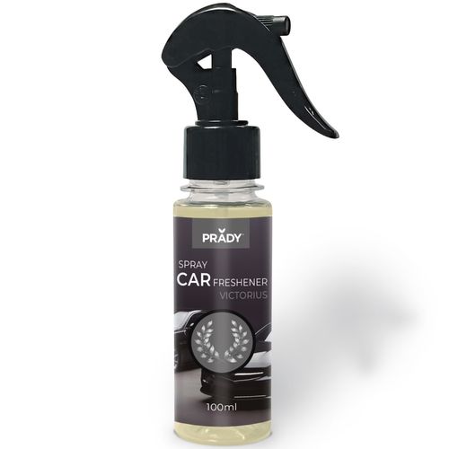 Spray d'ambiance voiture 100ml - Invictus