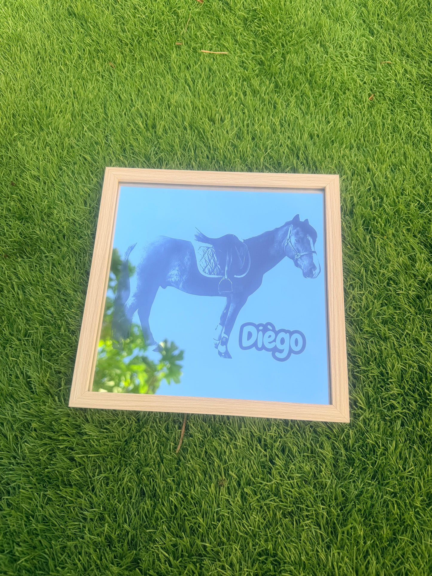 Gravure sur miroir Animal de compagnie
