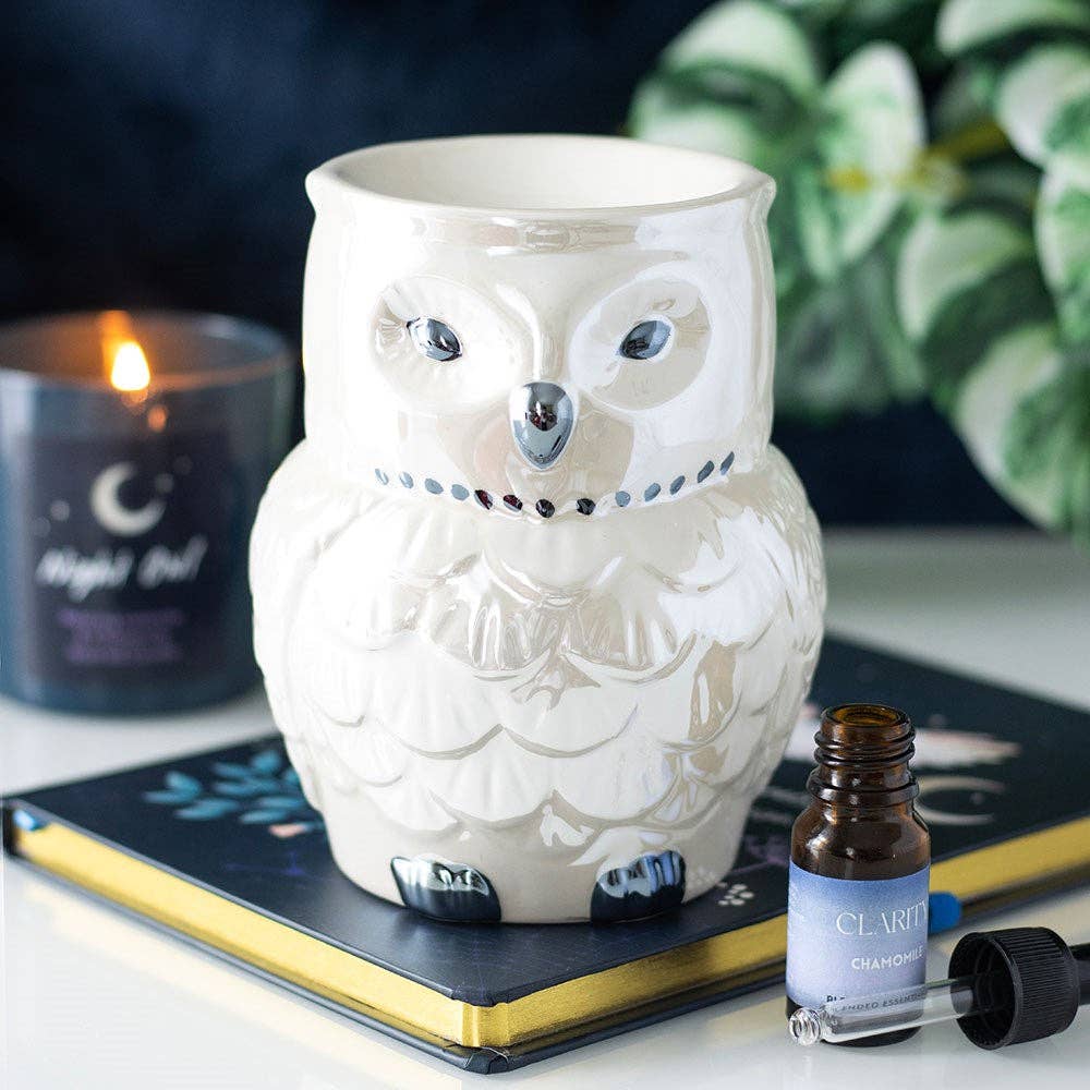 🦉 Brûle-Parfum & Chauffe-Cire Hibou Irisé