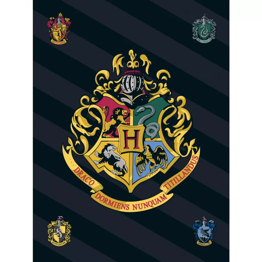 (Précommande) Couverture polaire 100x140cm Harry Potter