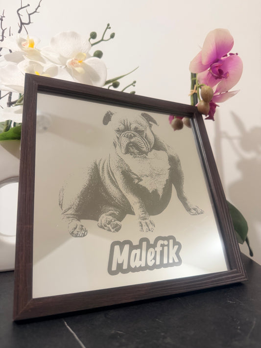 Gravure sur miroir animal de compagnie