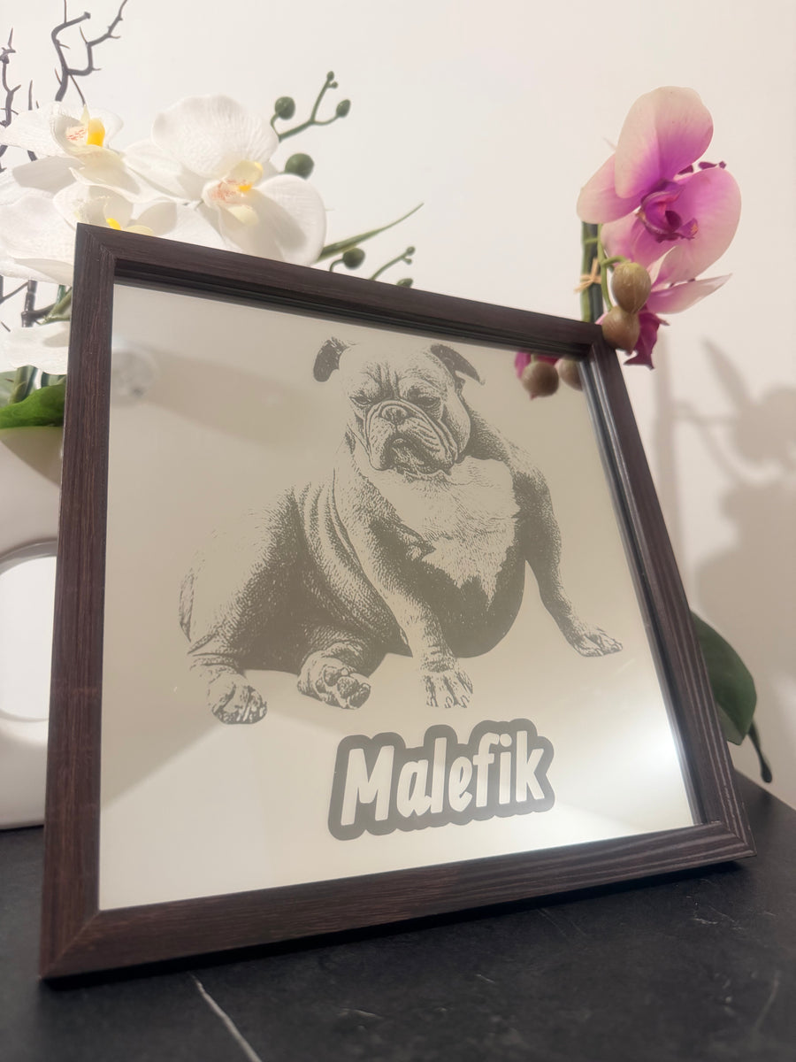 Gravure sur miroir animal de compagnie