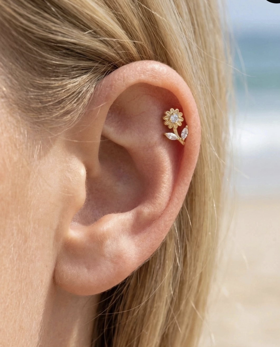 Piercing Oreille en acier inoxydable
