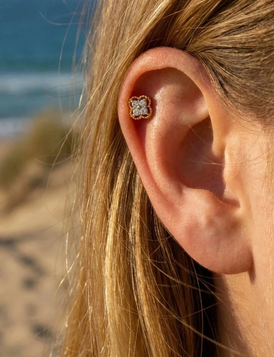 Piercing Oreille en acier inoxydable