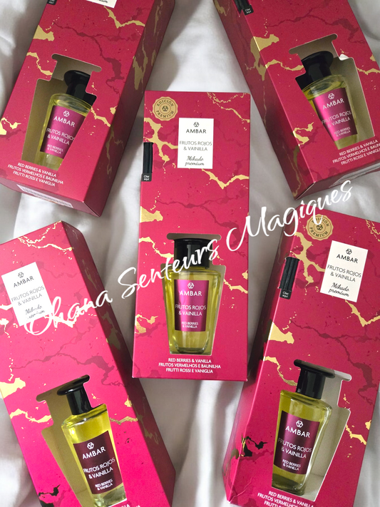 Mikado - Fruit rouge/Vanille
