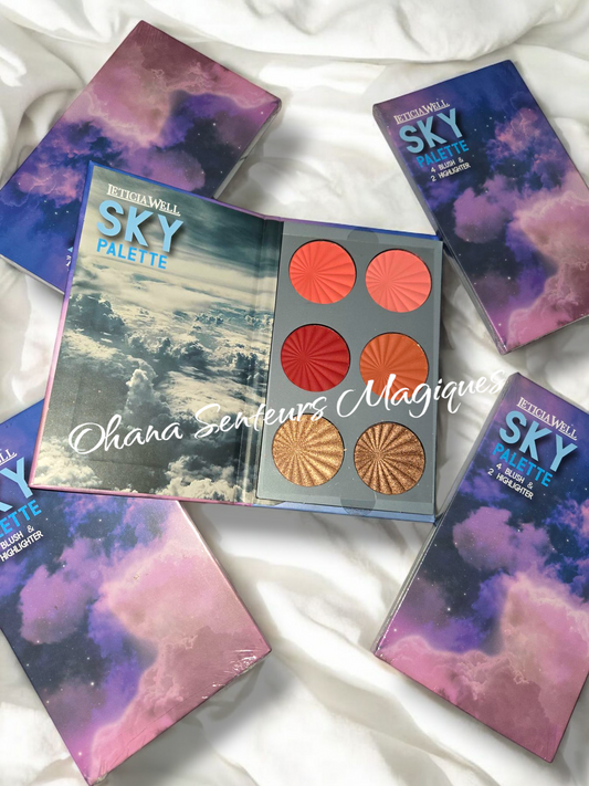 Palette Teint Blush et Highlighter