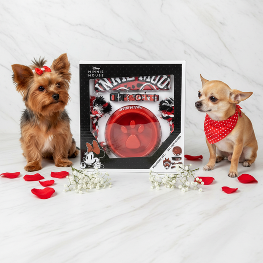 Coffret cadeau pour chien - Minnie