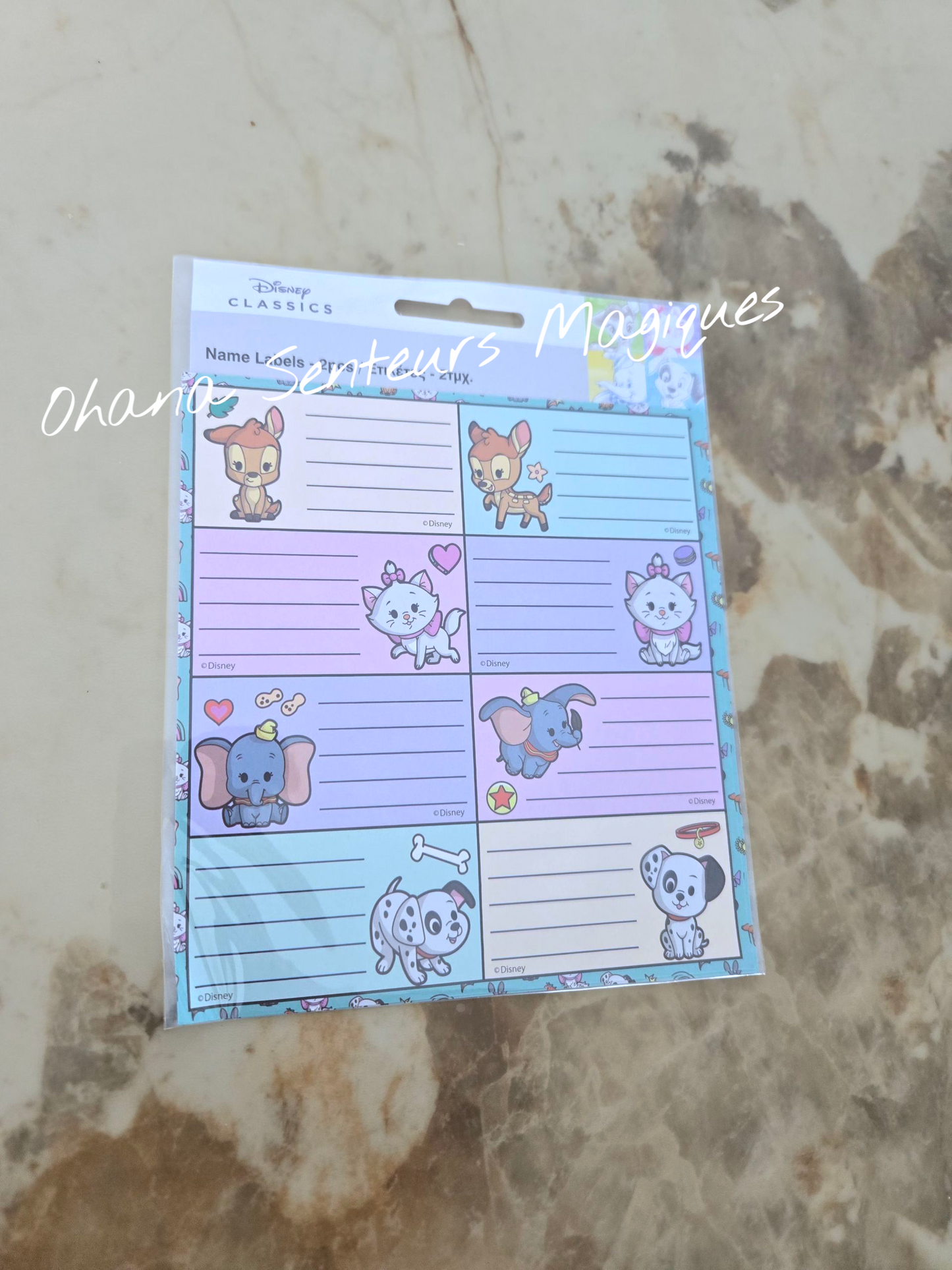 Lot de 16 étiquettes pour cahier - Disney 100