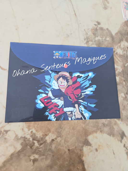 Porte document plastique A4 - One piece