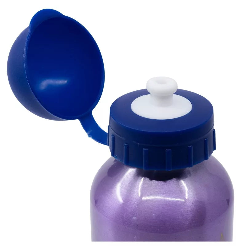 (Précommande) Gourde en aluminium Reine des neiges 400ml