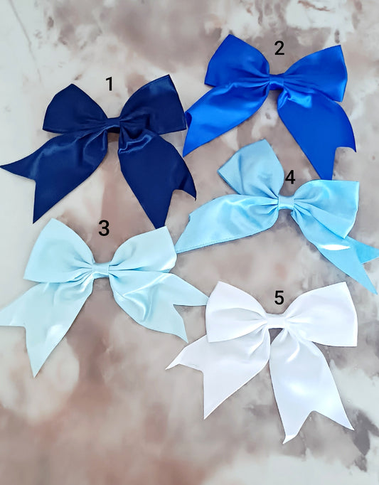 Barrettes élégantes Bleutées