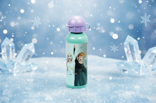 (Précommande) Gourde en aluminium Reine des neiges 520ml