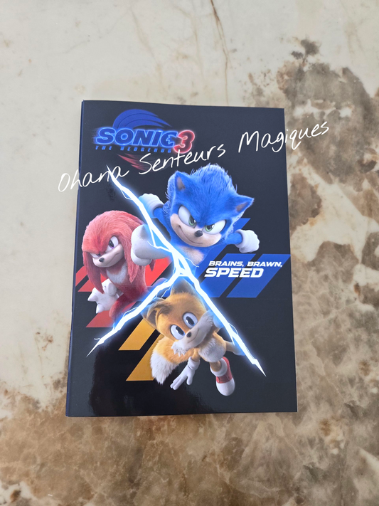 Cahier ligné  40 pages B/5 - Sonic