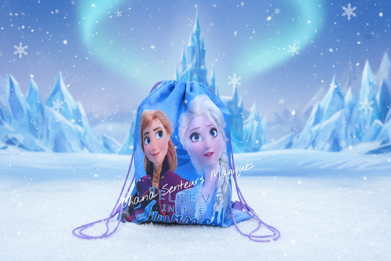 Sac de sport/piscine 40cm - Reine des neiges