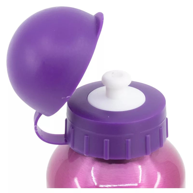 (Précommande) Gourde en aluminium Princesses 400ml