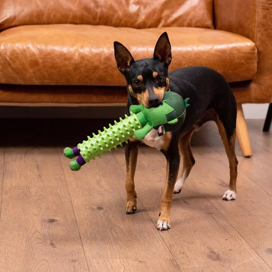 (Précommande) Jouet pour chien Avengers Hulk