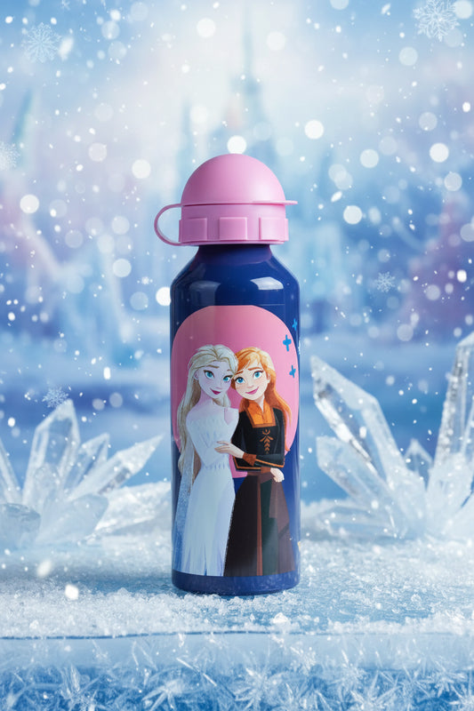 (Précommande) Gourde en aluminium Reine des neiges 520ml