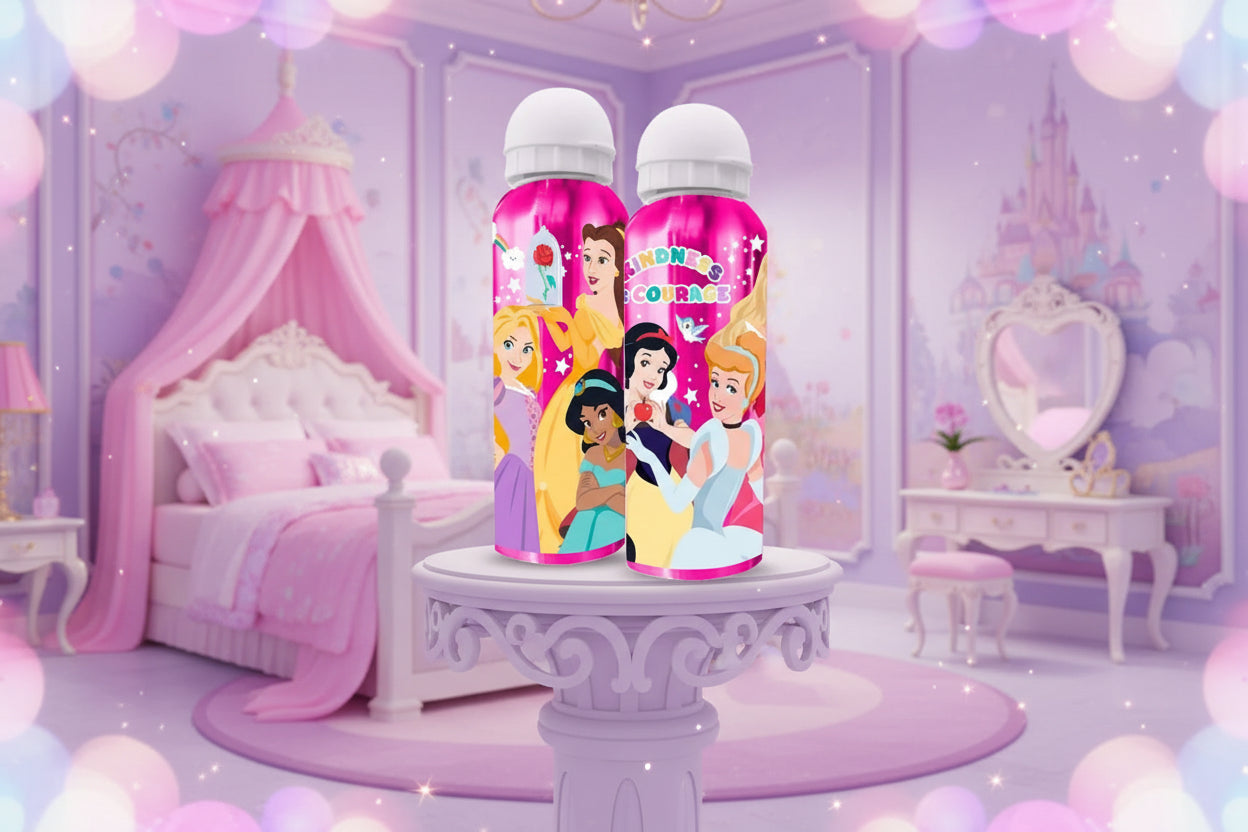 (Précommande) Gourde en aluminium Princesses 500ml