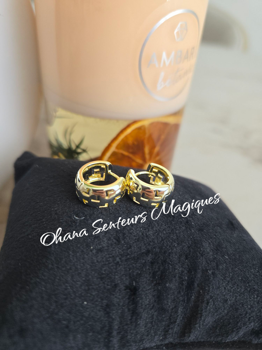 Boucles d’oreilles acier