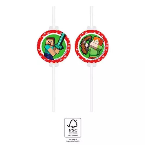 Lot de 4 pailles Minecraft